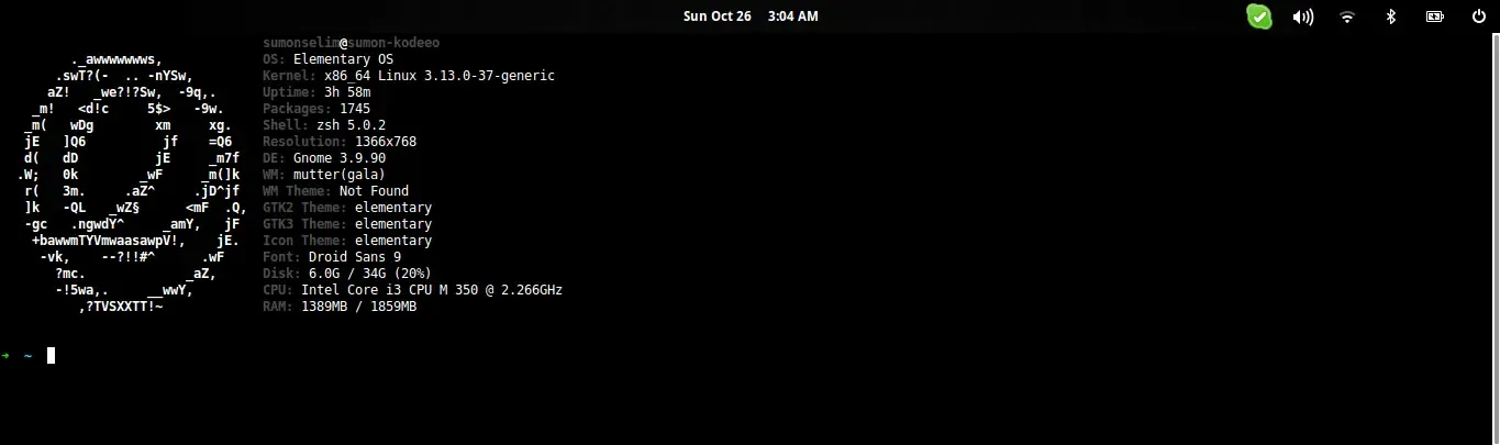 Terminal with Guake, oh-my-zsh and screenFetch